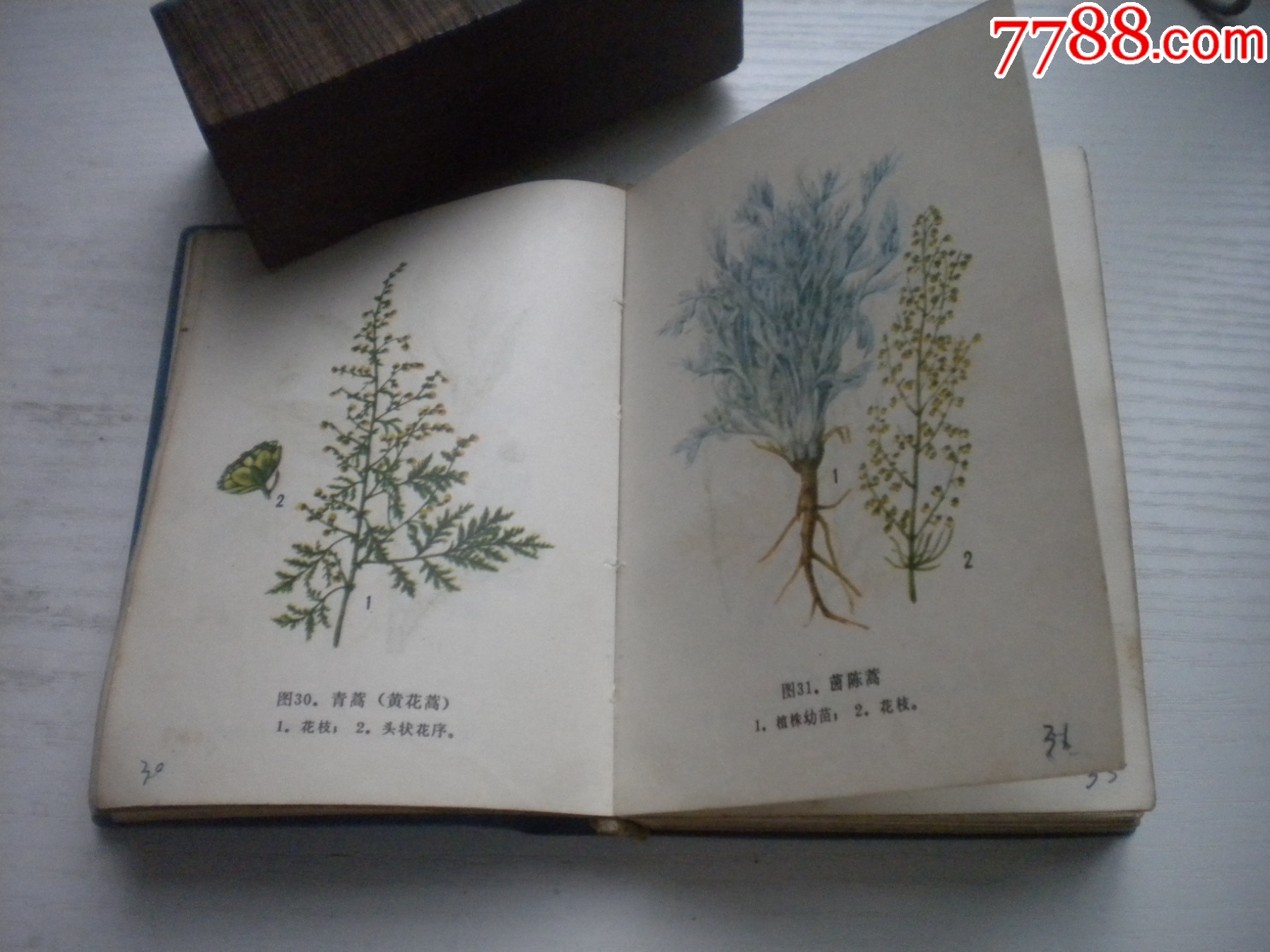 《遼寧常用中草藥手冊(cè)》前面有撕頁(yè)，64開(kāi)精裝集體著，441號(hào)，遼寧新華書店_價(jià)格30元【盛京萬(wàn)泉書店】_第14張_7788收藏__收藏?zé)峋€