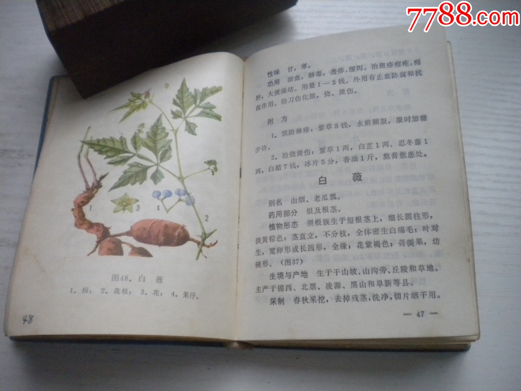 《遼寧常用中草藥手冊(cè)》前面有撕頁(yè)，64開(kāi)精裝集體著，441號(hào)，遼寧新華書店_價(jià)格30元【盛京萬(wàn)泉書店】_第15張_7788收藏__收藏?zé)峋€
