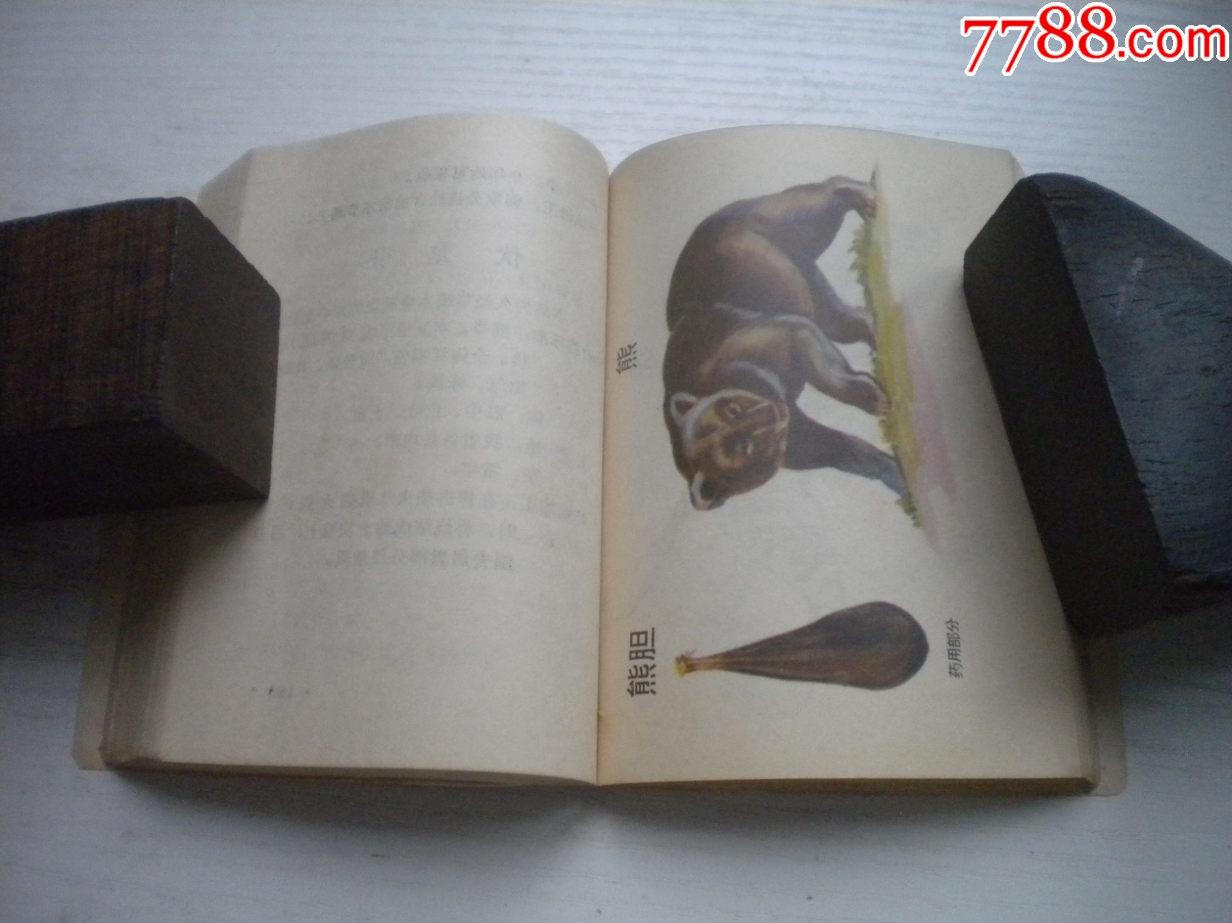 《中藥材收購手冊(cè)》，64開集體著，443號(hào)，黑龍江1975.5出版9.5品，_價(jià)格30元【盛京萬泉書店】_第14張_7788收藏__收藏?zé)峋€