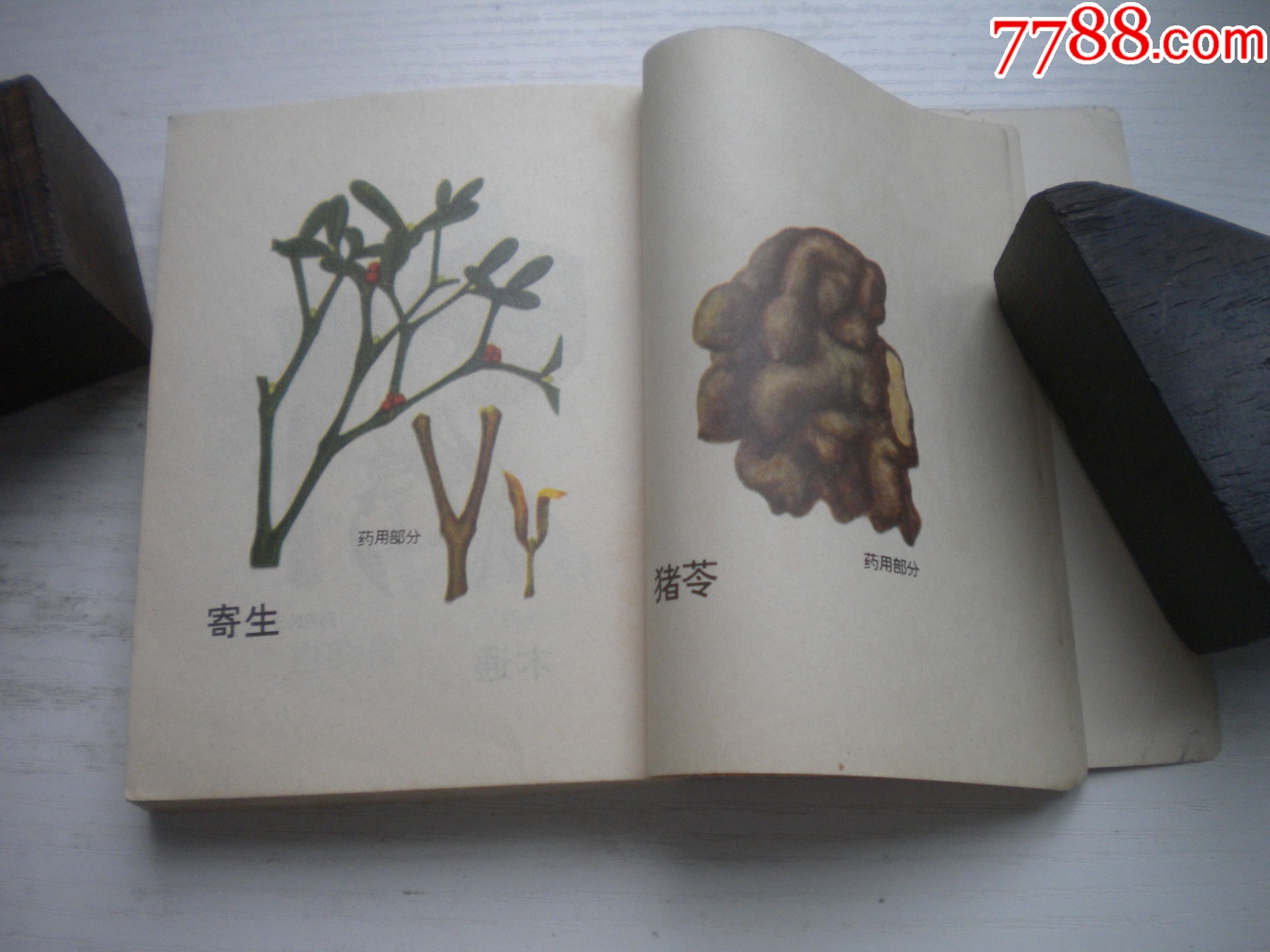 《中藥材收購手冊(cè)》，64開集體著，443號(hào)，黑龍江1975.5出版9.5品，_價(jià)格30元【盛京萬泉書店】_第18張_7788收藏__收藏?zé)峋€