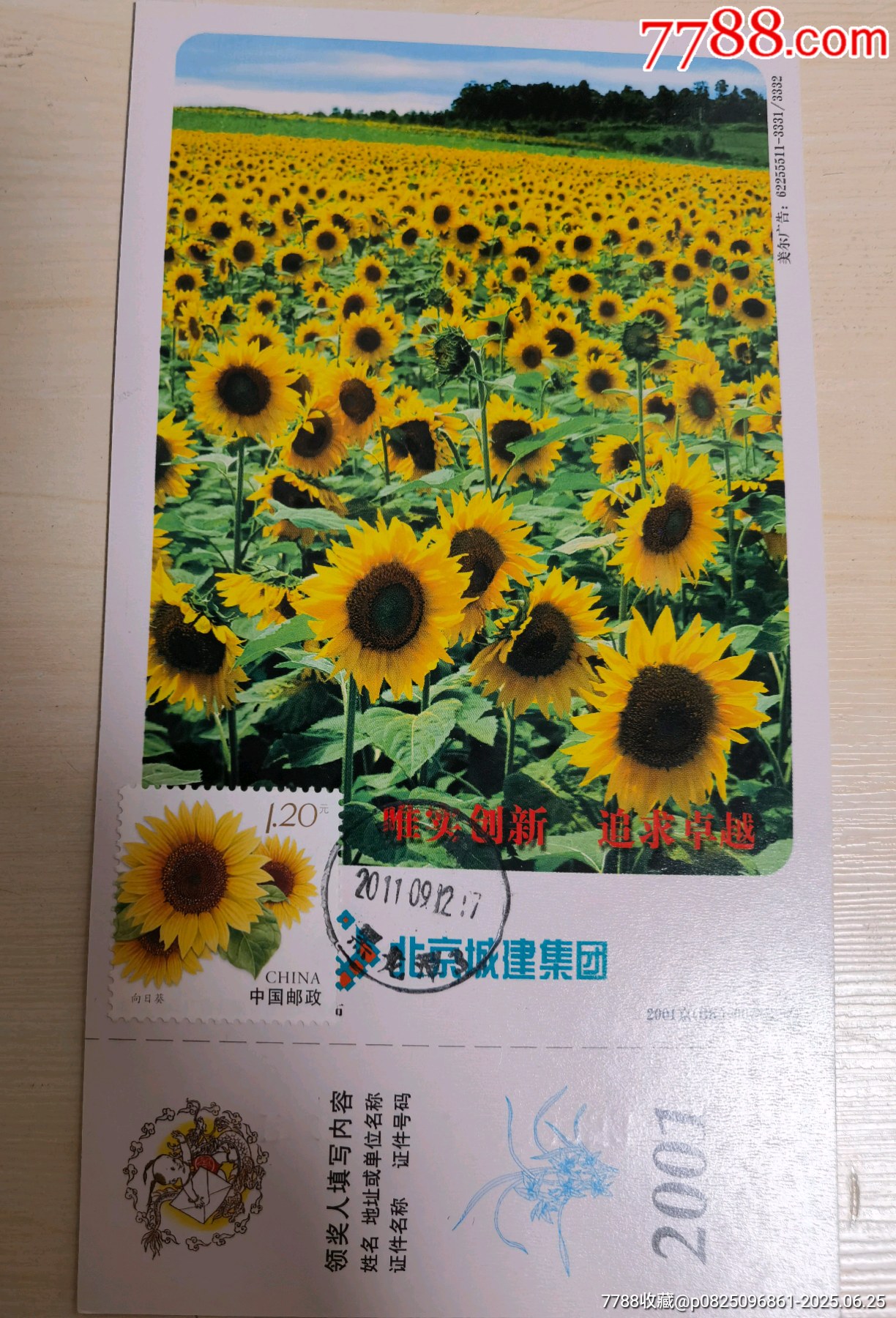 生地 ひまわり オックス 花柄 向日葵 布 綿 白 赤 紺 植物
