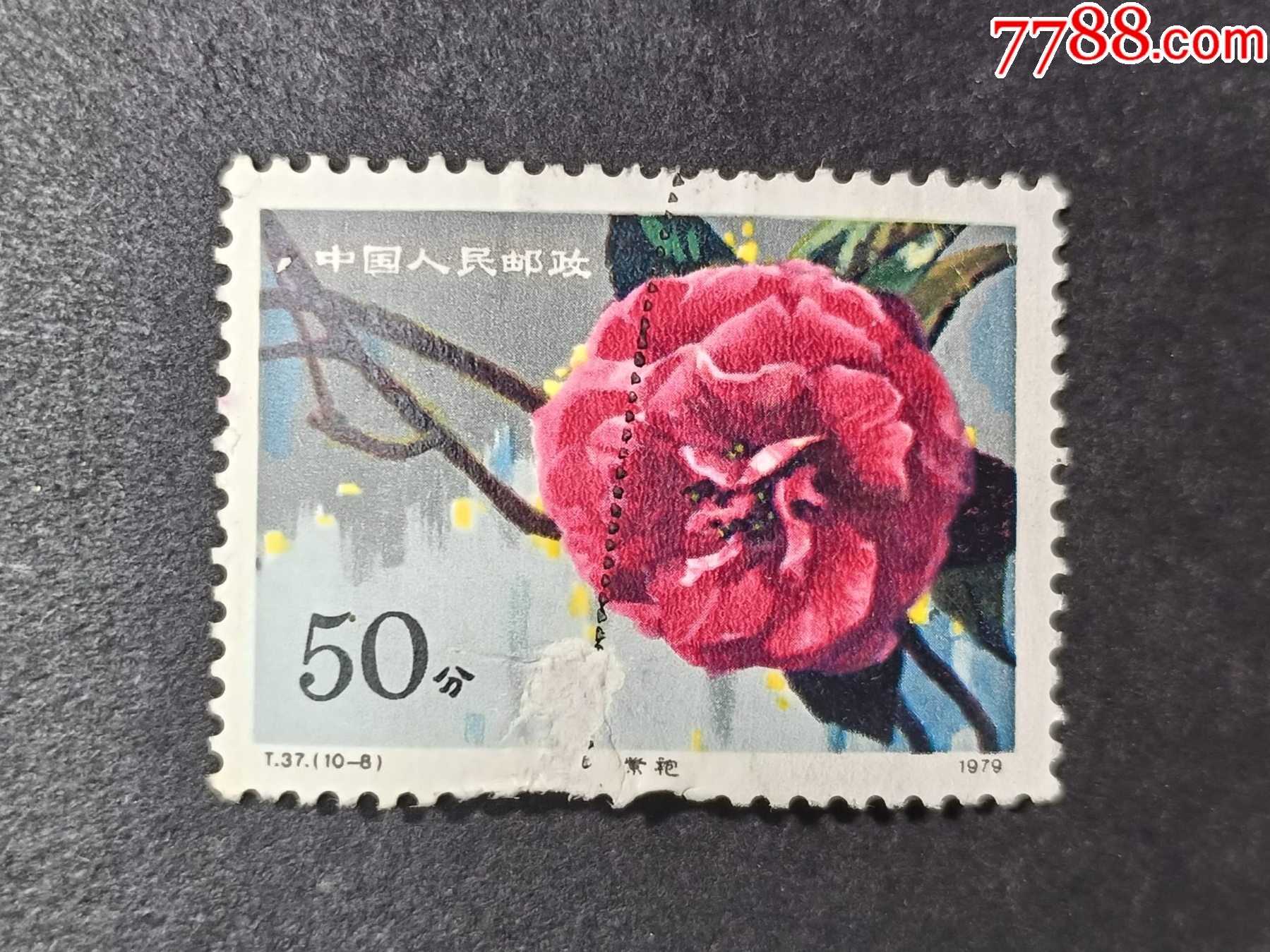 1円〜 1円〜 中国切手 T37 雲南のツバキ 2枚 T38 万里