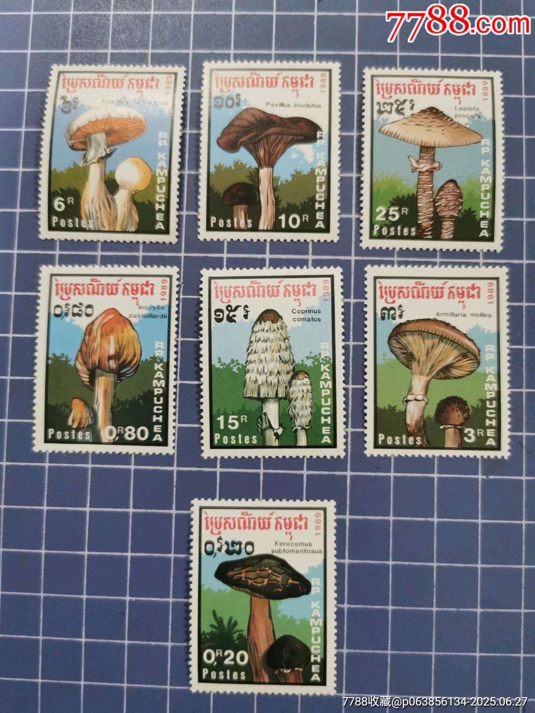 柬埔寨1989年菇菌類郵票7全_價格8元【西門收藏品書店】_第2張_7788收藏__收藏熱線