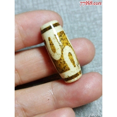 藏传至纯四眼金刚虎牙天珠YY449 附证书