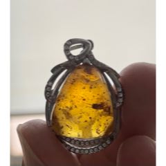 琥珀蟲珀吊墜_遼南博雅齋