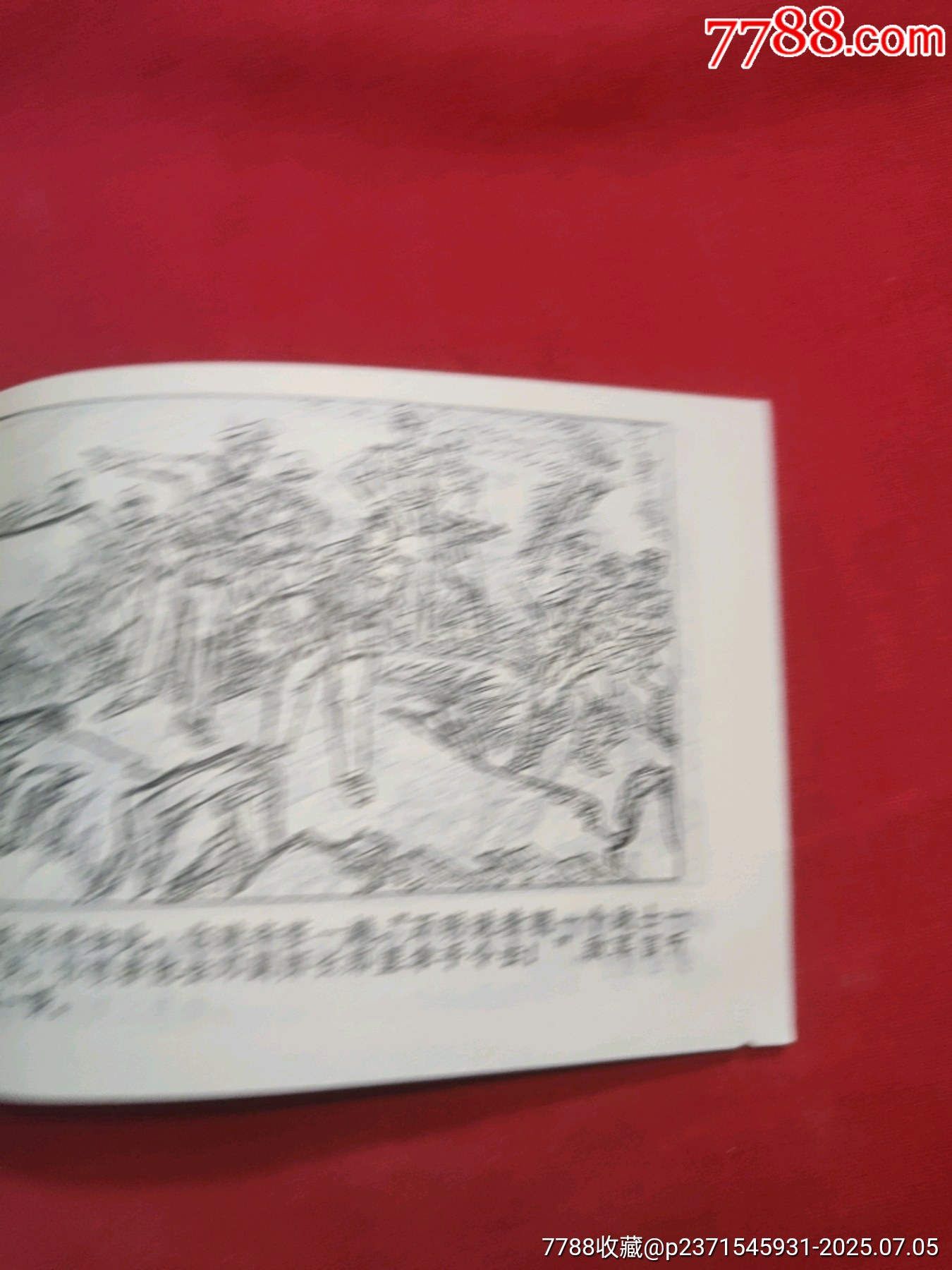 巧取紅河渡口（大陸上最后一仗之二）_價格100元【浪浪書屋】_第19張_7788收藏__收藏熱線