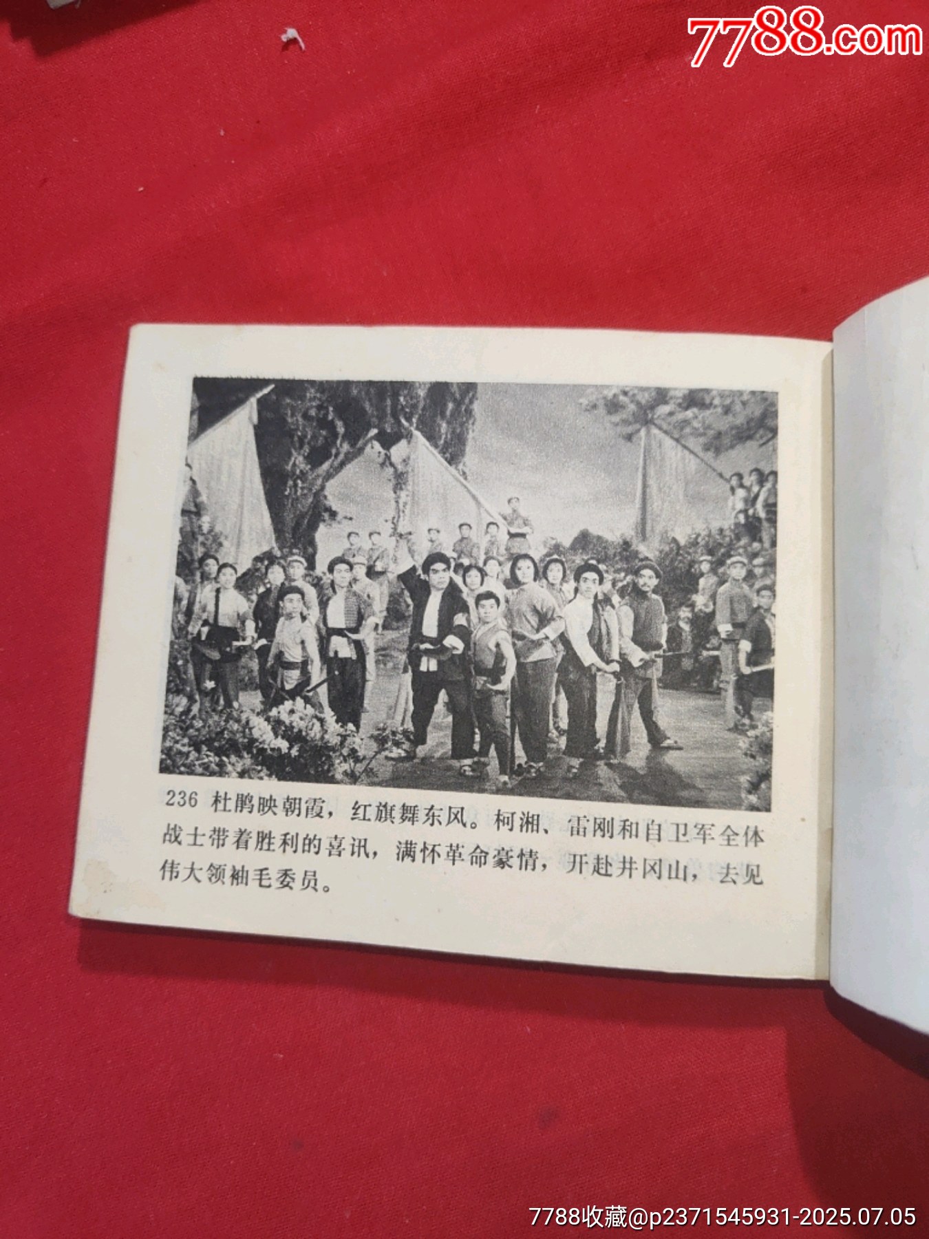 杜鵑山（電影連環(huán)畫(huà)冊(cè)，此書(shū)一版一?。價(jià)格95元【浪浪書(shū)屋】_第24張_7788收藏__收藏?zé)峋€(xiàn)