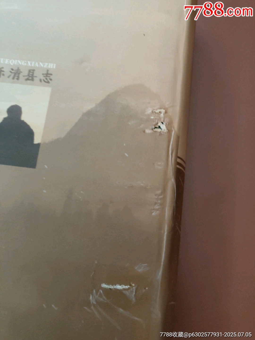 樂清縣志_價(jià)格200元【西門收藏品書店】_第3張_7788收藏__收藏?zé)峋€