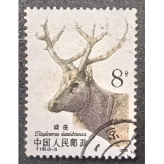 中国郵票　　成都 中国邮票目录_中国邮票价格查询_（J24）中华人民共和国第五届