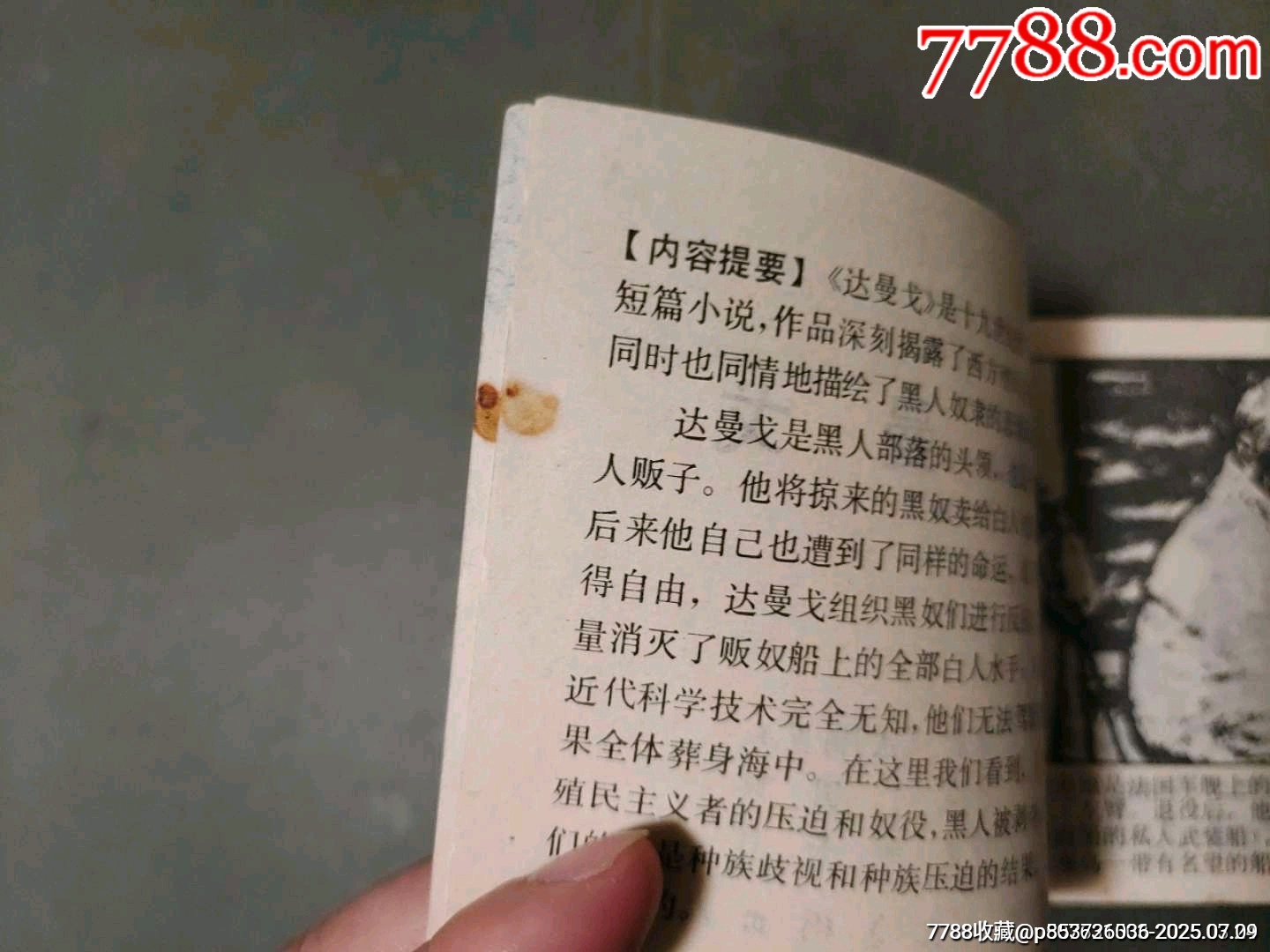 達曼戈_價格10元【風雅書亭】_第6張_7788收藏__收藏熱線