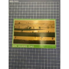 北戴河風光-拾貝(se107617049)_西門收藏品書店