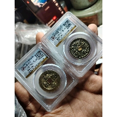 咸豐通寶宝川局山鬼花錢大様 6607.jpg
