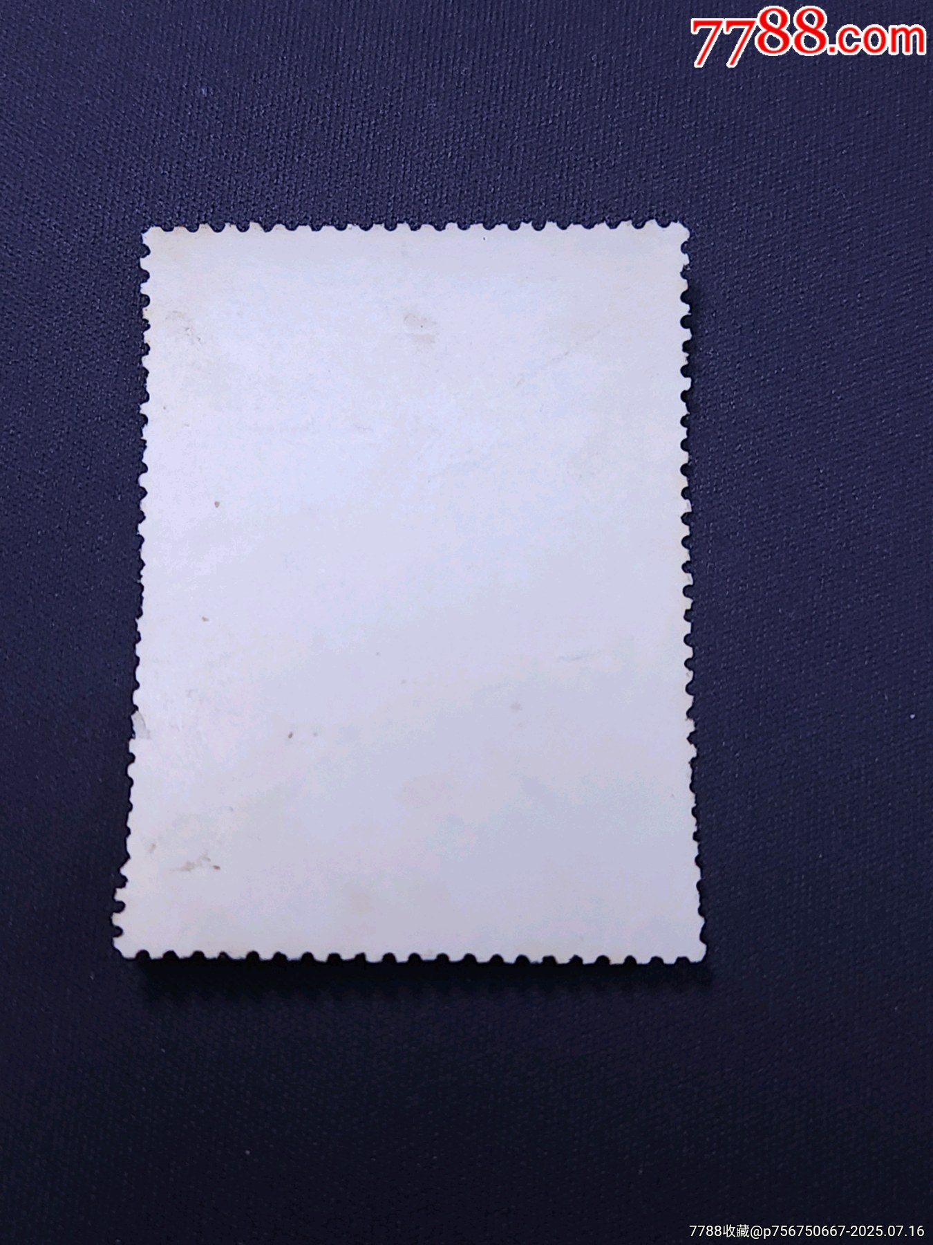 文2站像信銷上品微瑕輕微弱齒背有一處極小薄，無褪色無人為，粉絲特價368元包郵_價格368元_第5張_7788收藏__收藏?zé)峋€