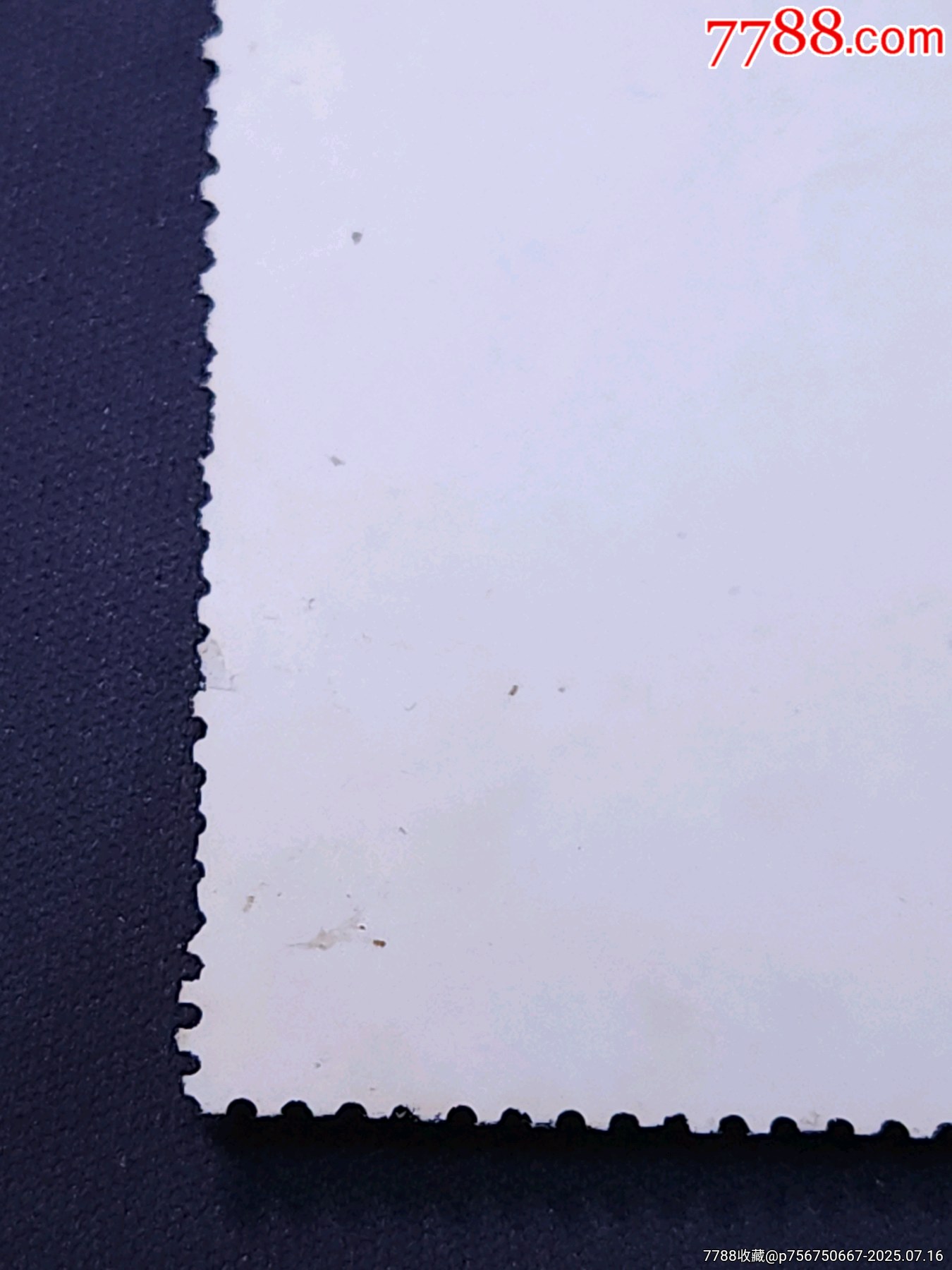 文2站像信銷上品微瑕輕微弱齒背有一處極小薄，無褪色無人為，粉絲特價368元包郵_價格368元_第6張_7788收藏__收藏?zé)峋€