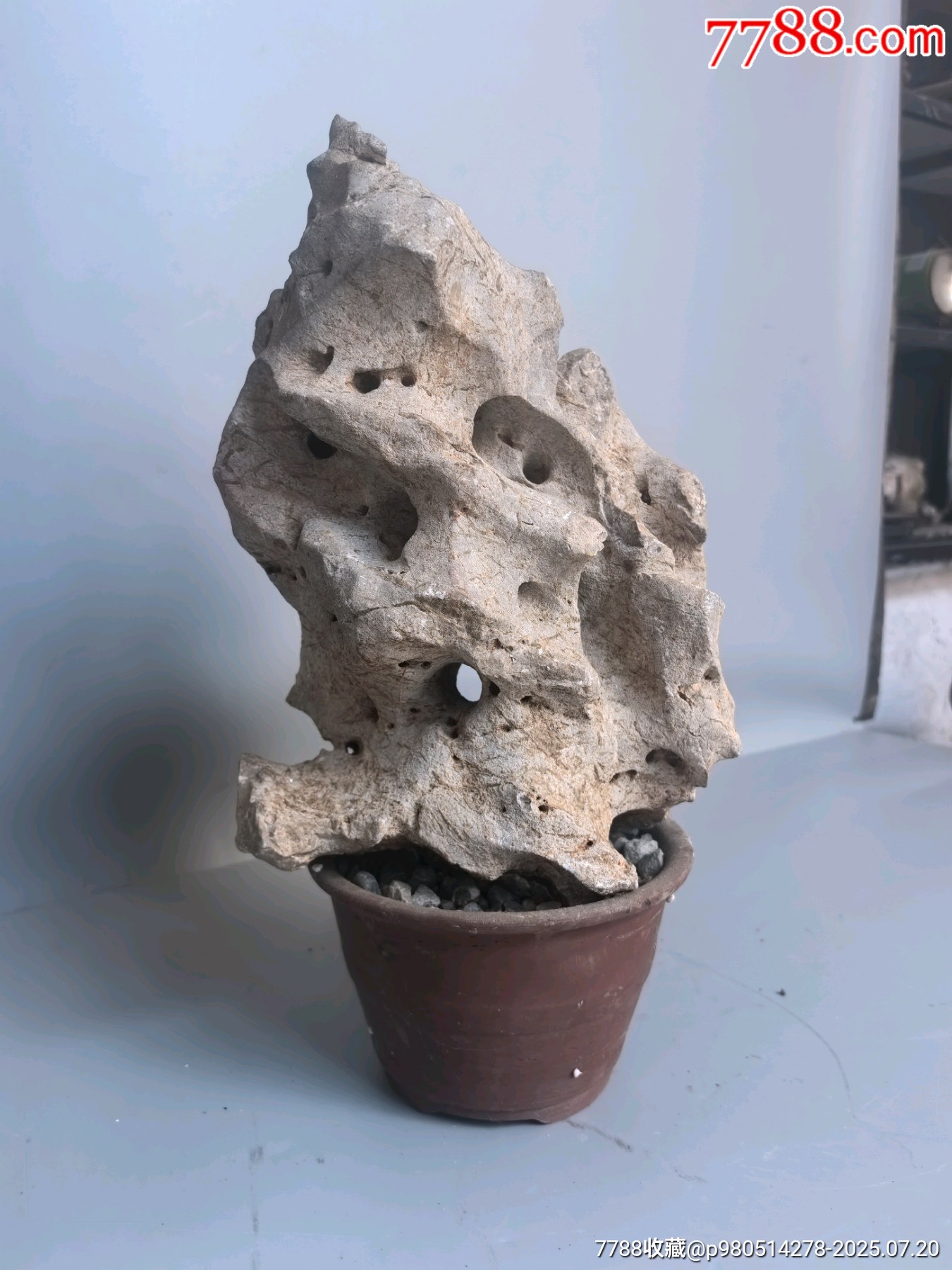 天然太湖石摆件_太湖石_产地图片_收藏价值_7788奇石收藏