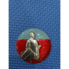 十大名章之一：毛主席视察六省一市纪念章_像章徽章_红色收藏正品保障店