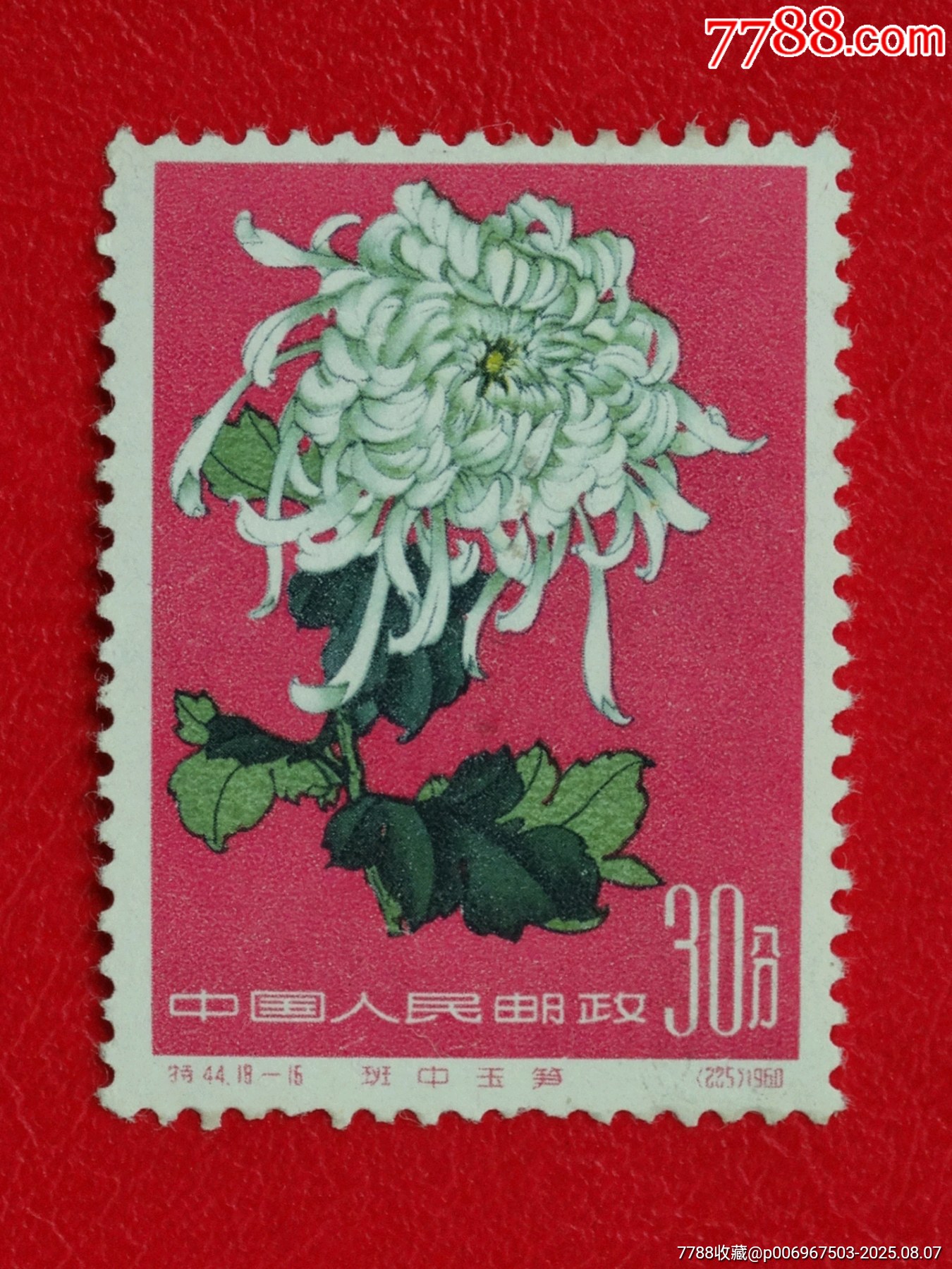 特44（18-16）菊花特种邮票-新中国邮票-7788红宝书