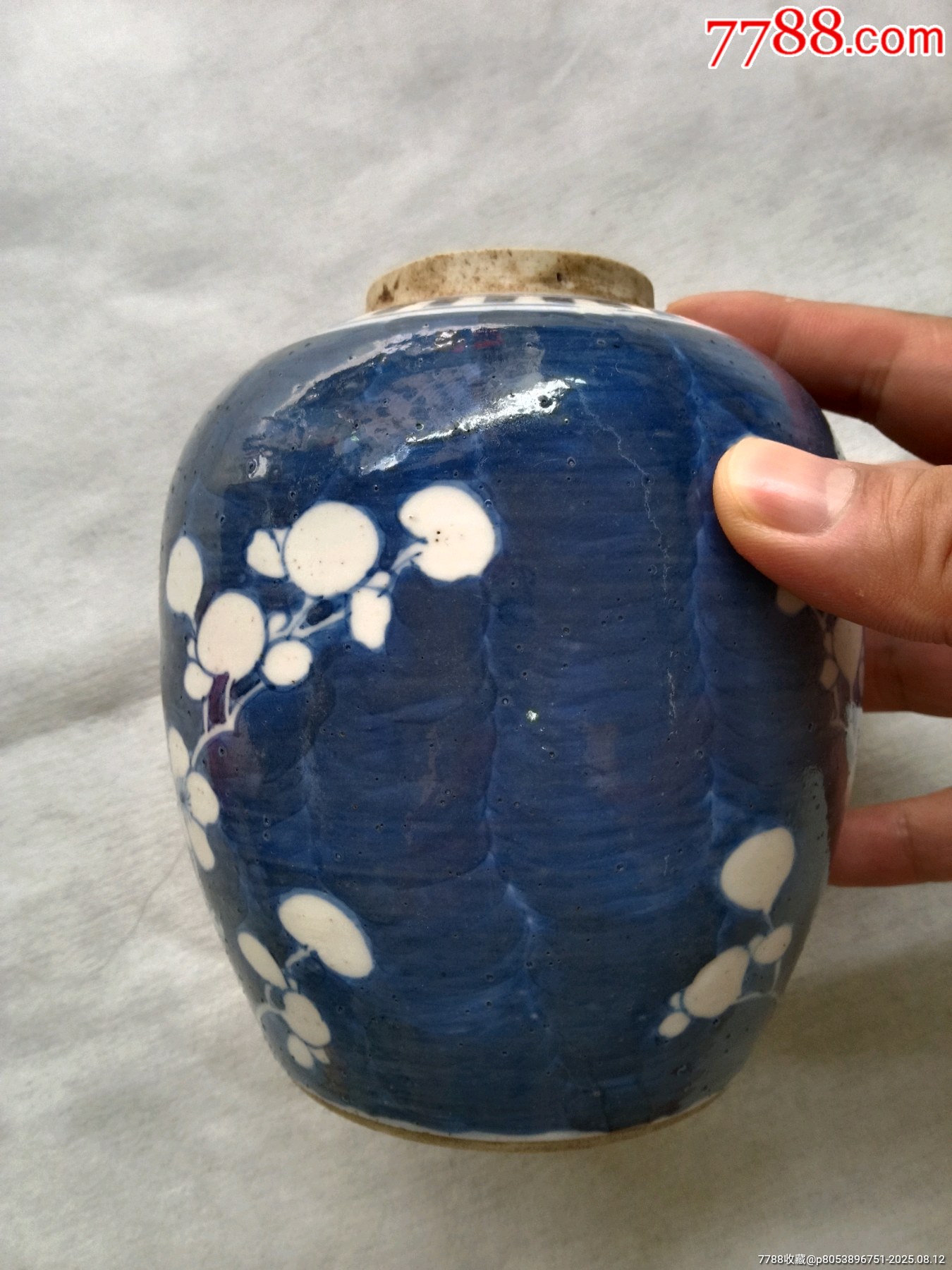 光绪冰梅小罐-青花瓷-7788红宝书