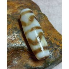 虎牙天珠 8187藏传牙黄虎牙天珠-天珠-7788旧书网