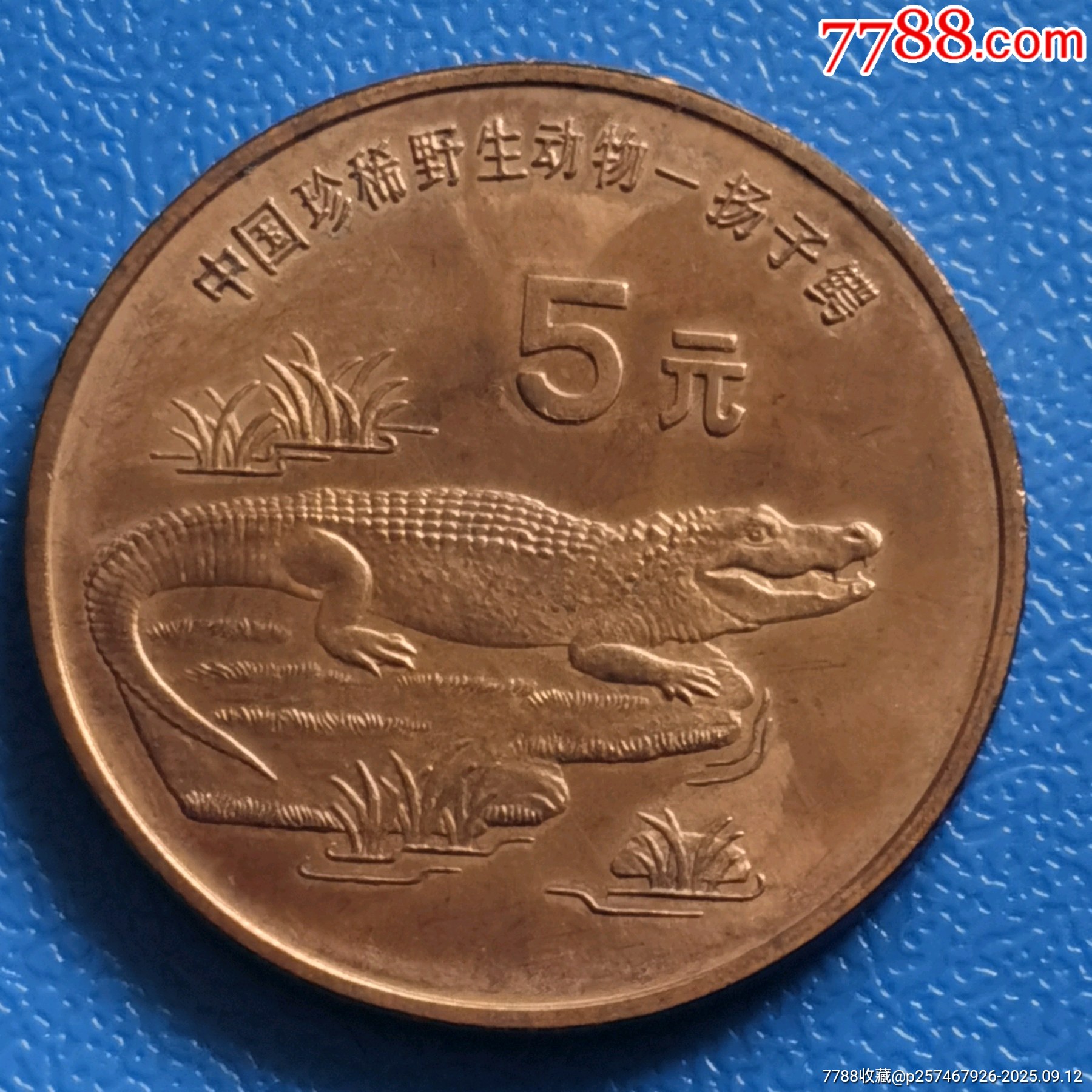 珍稀动物杨子鳄纪念币_普通纪念币_鉴别图片_收藏价格_7788陶器收藏