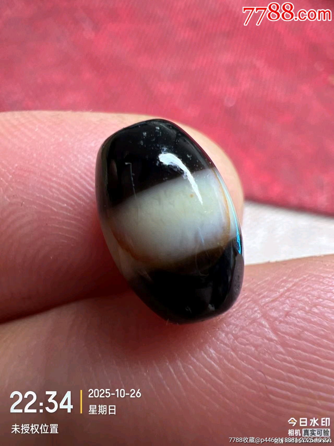 藏传爆老一线老天珠-天珠-7788红宝书