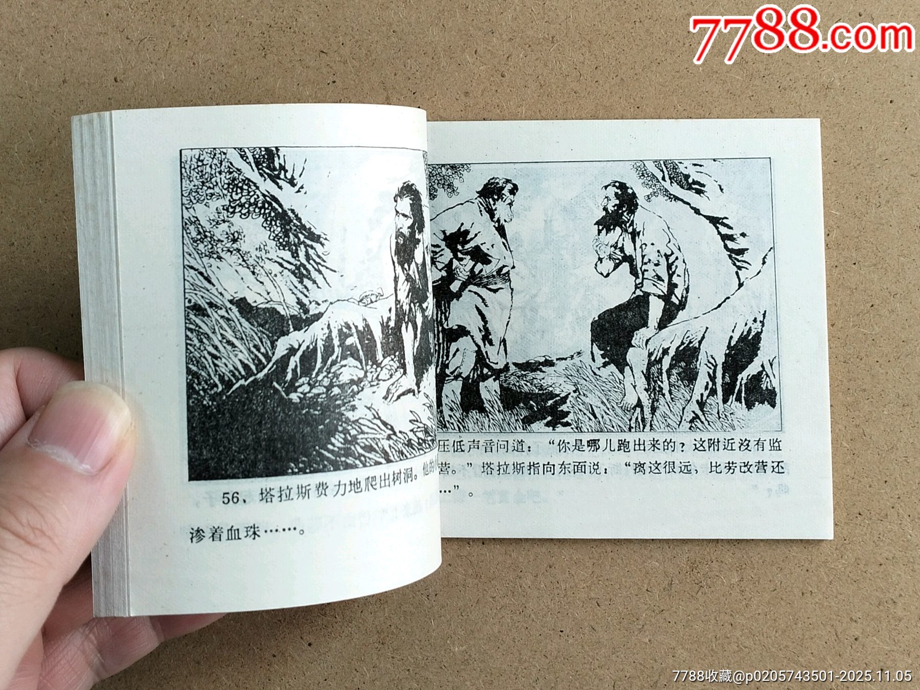 塔斯拉火炬吉林樣本_價(jià)格99元_第6張_