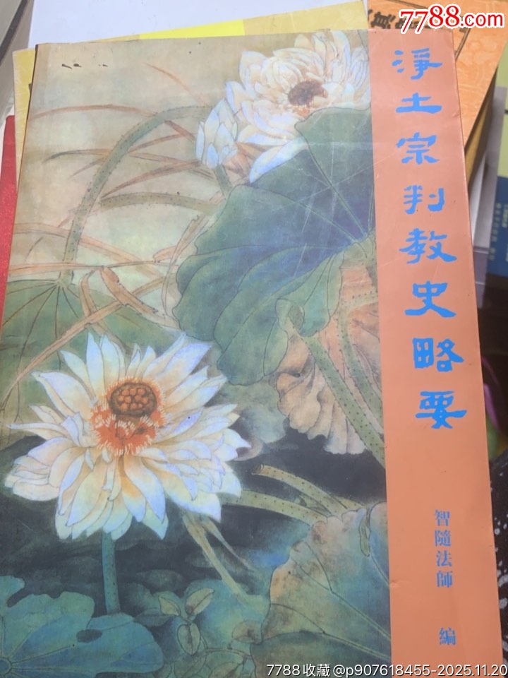 净土宗判教史略要-价格:30元-se109482592-社会科学类书-零售-7788收藏__收藏热线