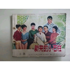 新來的小石柱上集