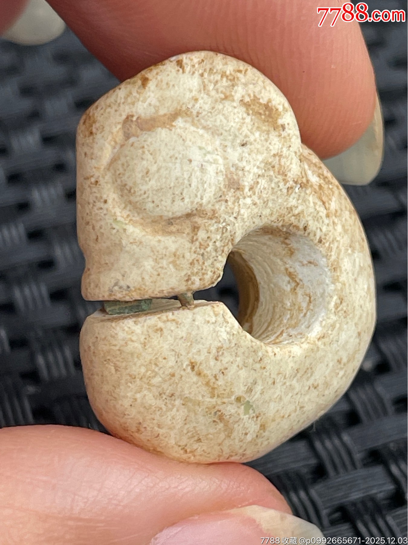 鸡骨白玉玉猪龙26x21x12.5mm-和田玉-7788红宝书