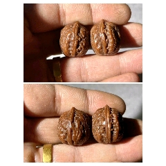 清代老核雕十八罗汉_核桃雕_华南堂古文玩收藏【7788红宝书】