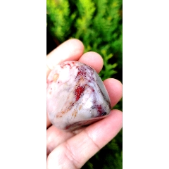 昌化鸡血石_昌化石_兰亭序寿山石【7788红宝书】