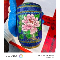 八十年代高26.2厘米铜胎掐丝珐琅彩/景泰蓝鸟语花香图花瓶一个，梅花下