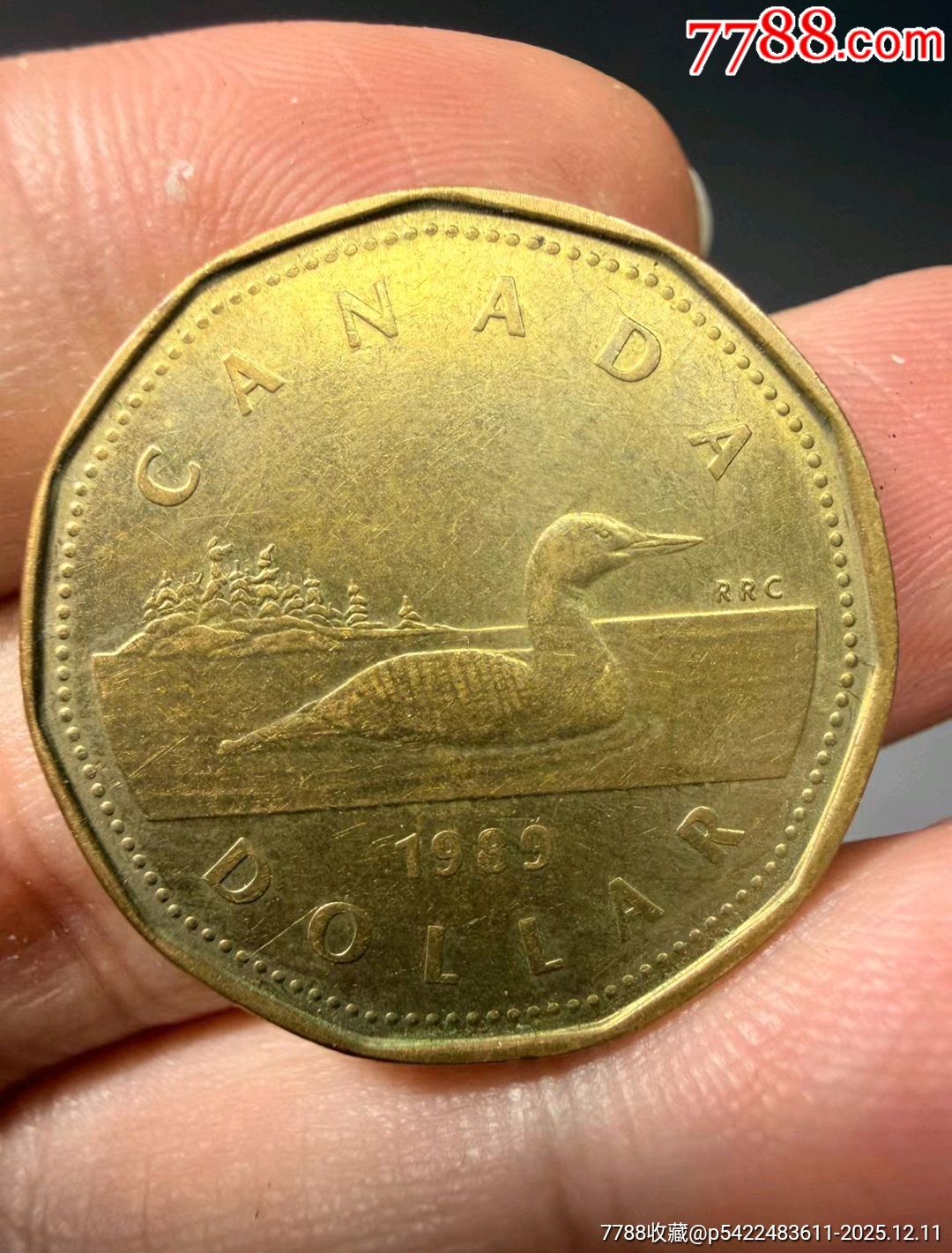 1989年加拿大一元硬币，八角形设计，女王头像正面，潜鸟图案背面，铜质。品相还可-加拿大钱币-7788游戏卡收藏