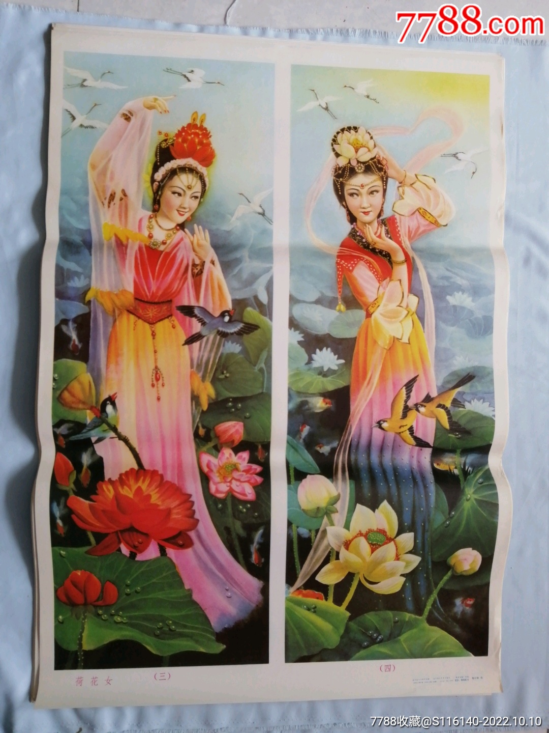 双猫扑蝶荷花女（3、4）_宣传画_凌水收藏【7788收藏__收藏热线】