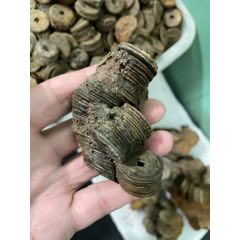 清錢道家(wh263533)_雙人古泉