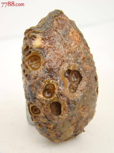 阿拉善戈壁奇石玛瑙人物石