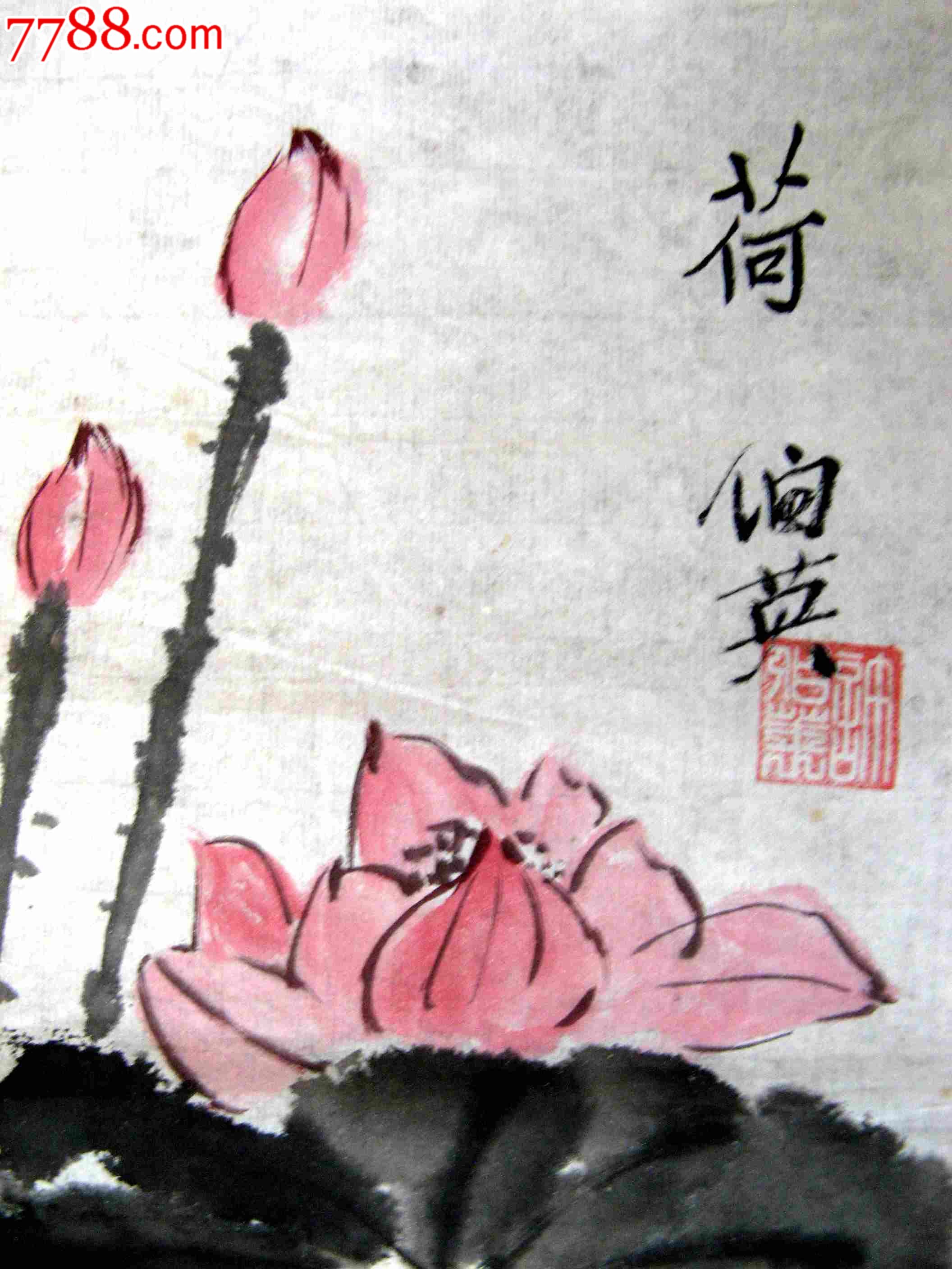 简洁清秀的一尺条幅荷花画荷