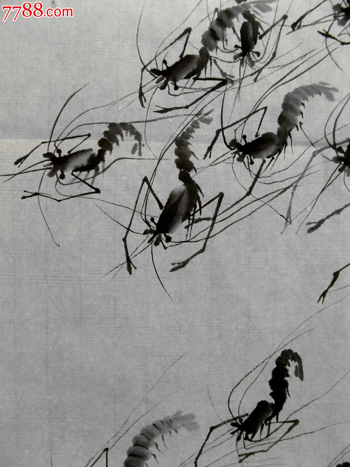 不错的二尺条幅无款水墨虾画:群虾竞游-价格:8元