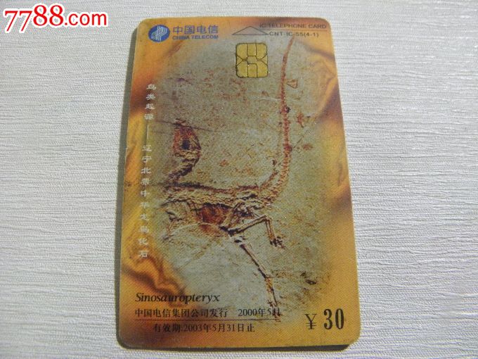 中华龙鸟复原图鸟类起源