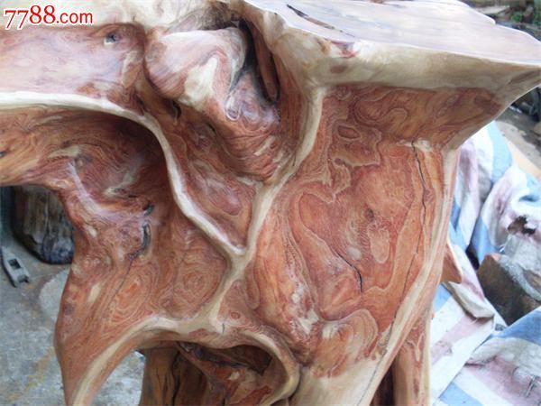 滇金丝红木根艺花架-价格:1200元-se21815787-木花架-零售-7788木艺