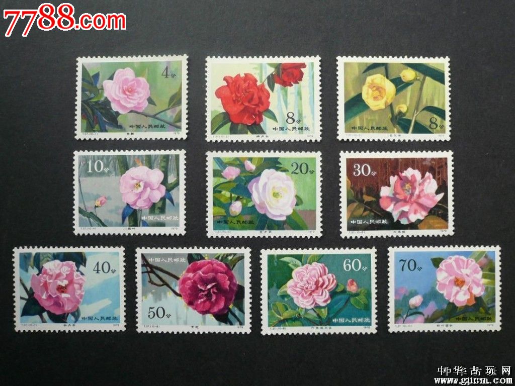 t37云南山茶花原胶全品_新中国邮票_雅泉集藏【7788收藏__收藏热线】