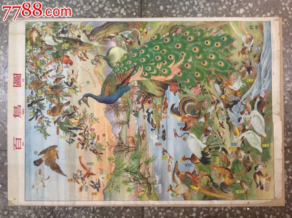 百鸟图(竖版)-价格:1000元-se24012414-年画/宣传画-零售-7788收藏