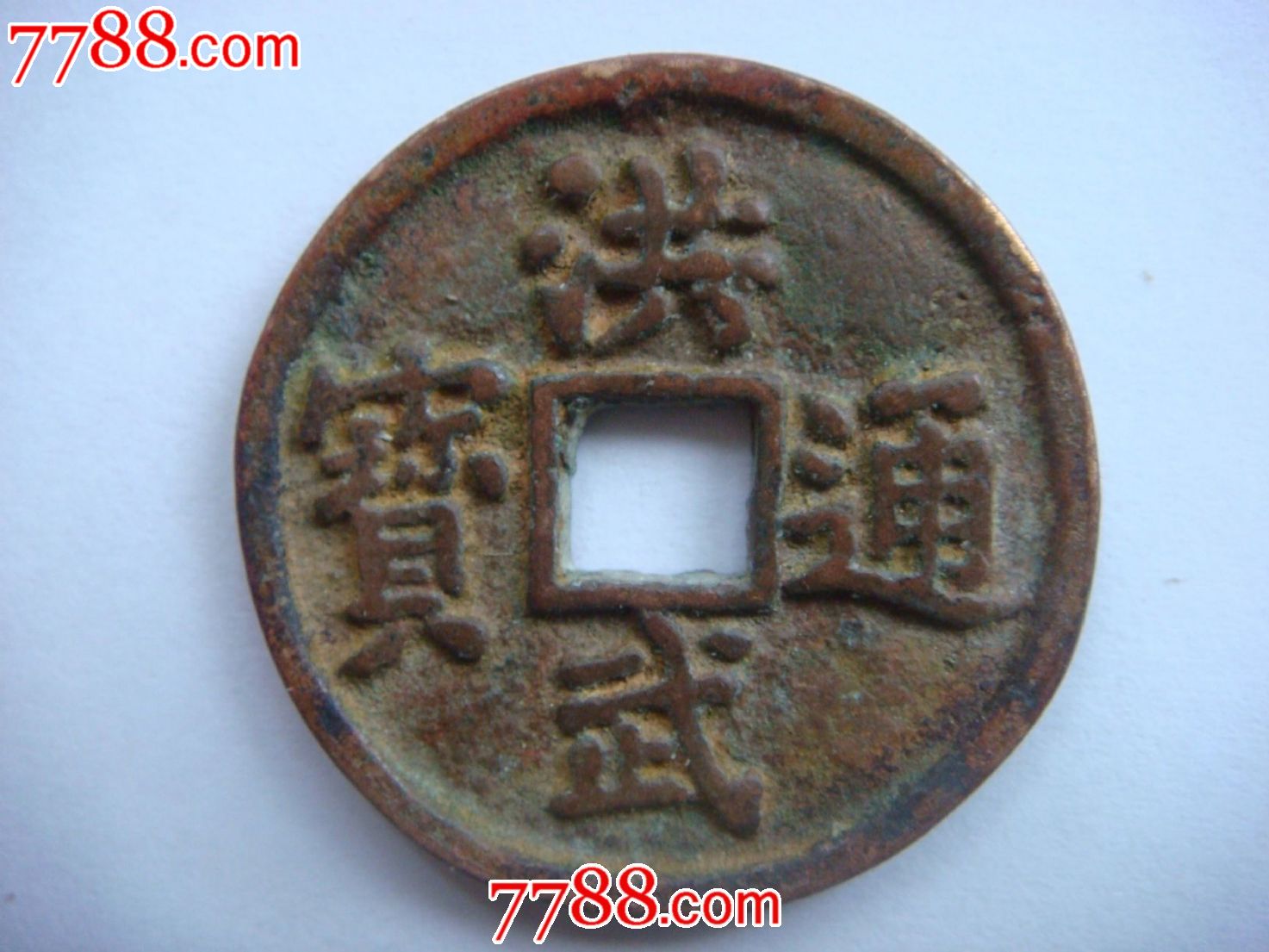 洪武通寶 裏目 動物の柄など とても大きい 直径約7C 明朝銭】