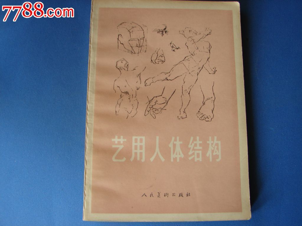 艺用人体结构