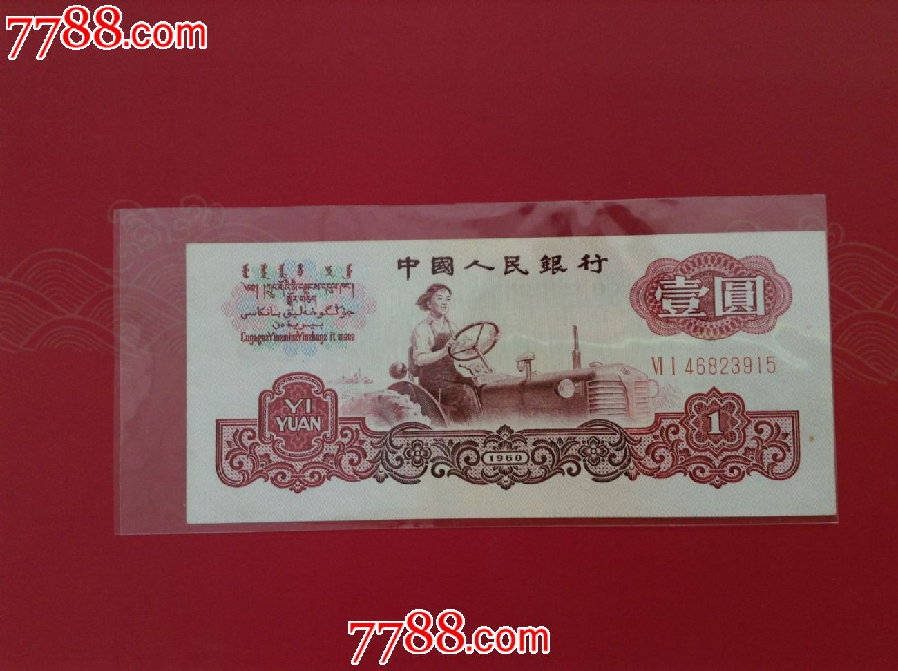 两罗马女拖拉机手一张