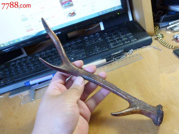 清三代鹿角梅花鹿包浆红褐色年代久远