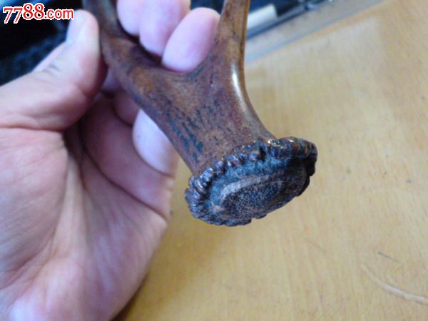 清三代鹿角梅花鹿包浆红褐色年代久远