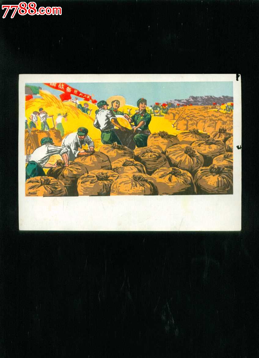 喜获丰收1605队作