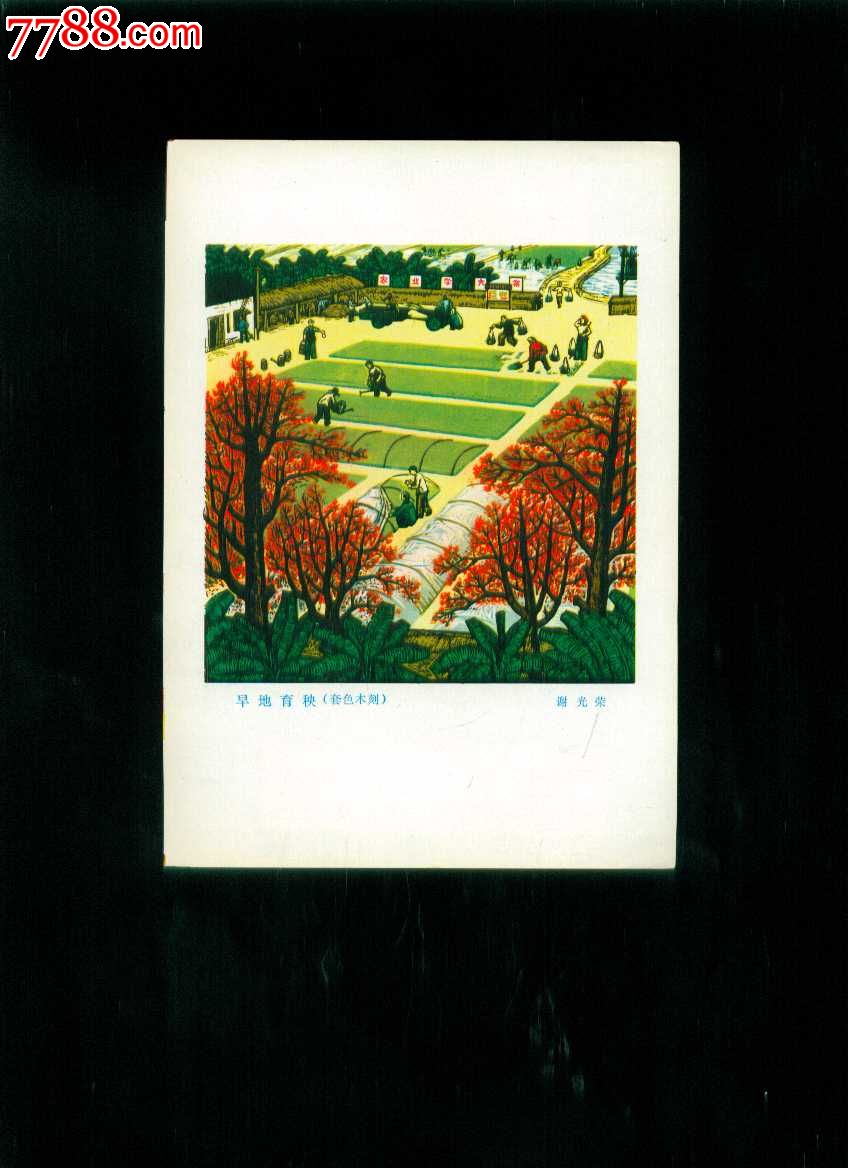 旱地育秧套色木刻谢光荣作