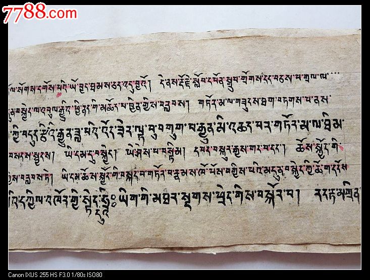 密修马头明王护法经精抄本